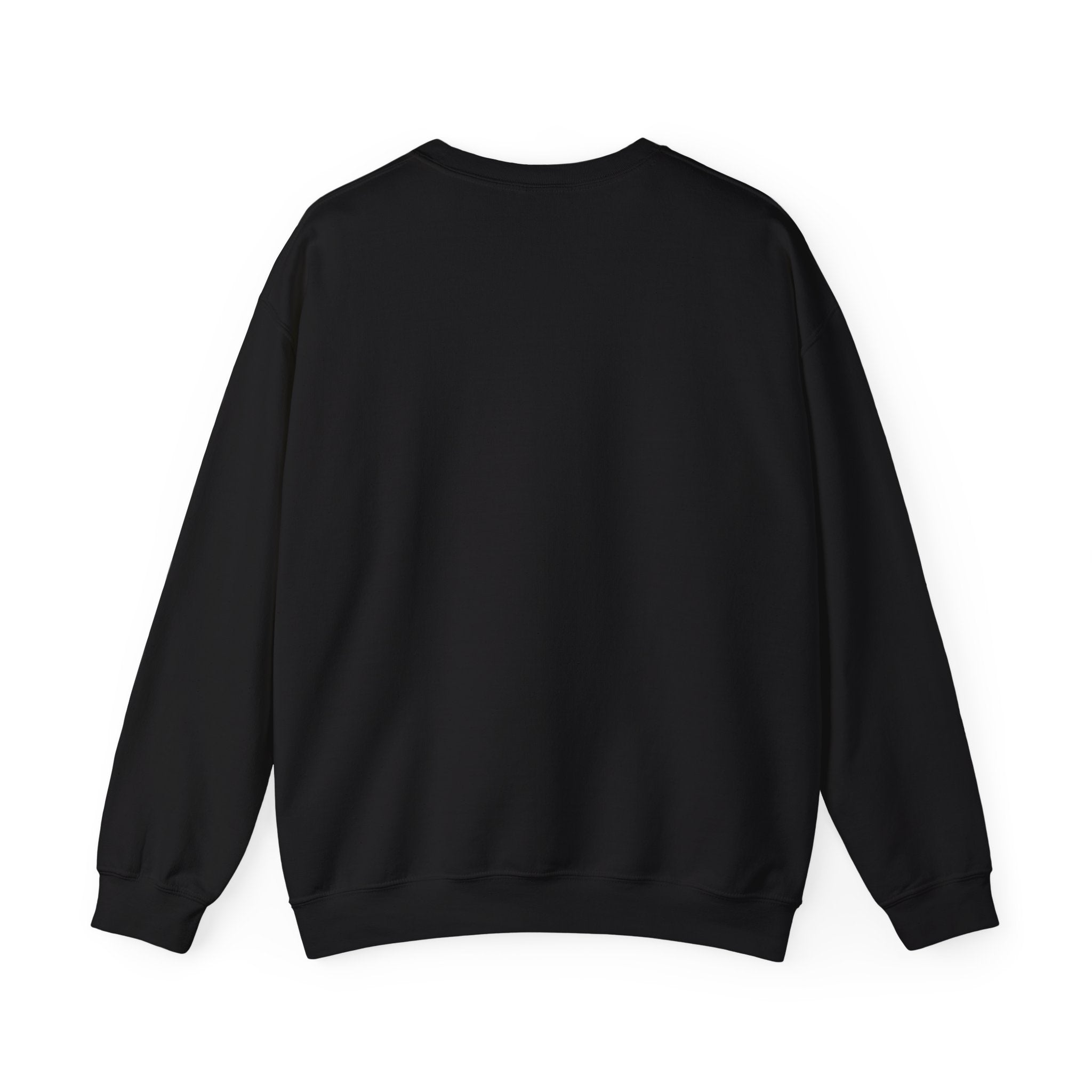 Moonlit & Mildly Unhinged crew neck ⭐️